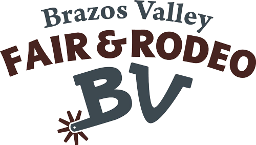 2018-brazos-valley-logo