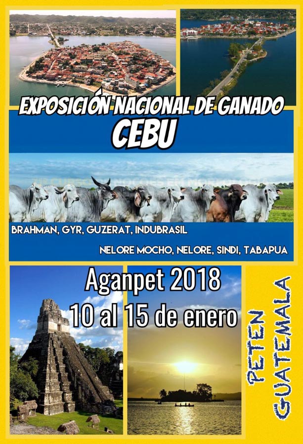 Exposicion-Nacional-Cebu-Peten