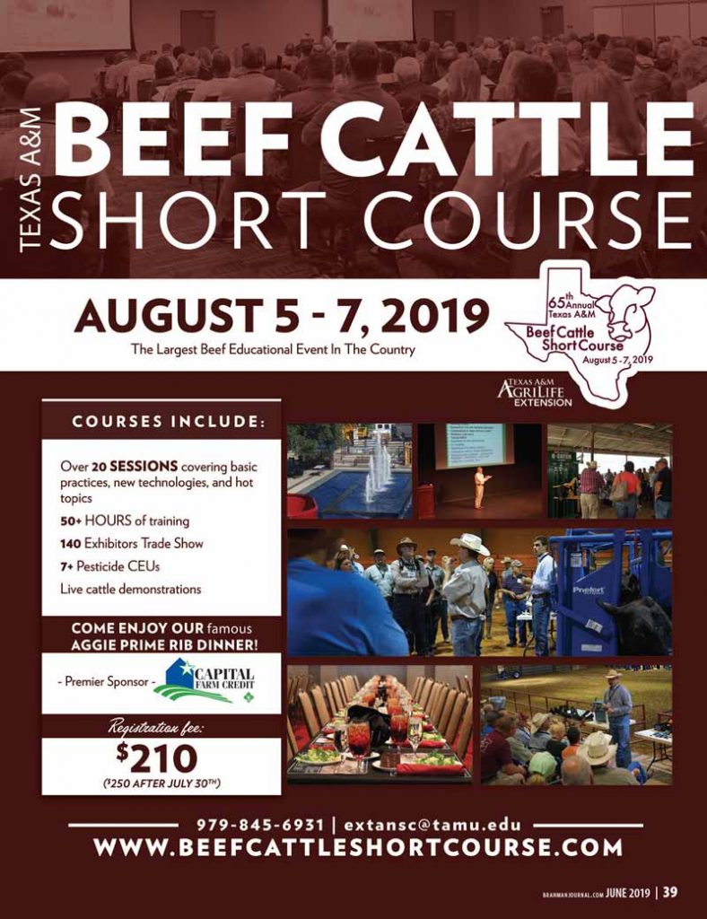 BJE-Beef-Cattle-Short-Course