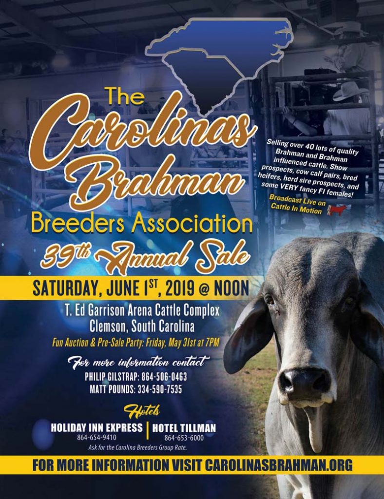 Carolinas-Brahman-Breeders-Sale