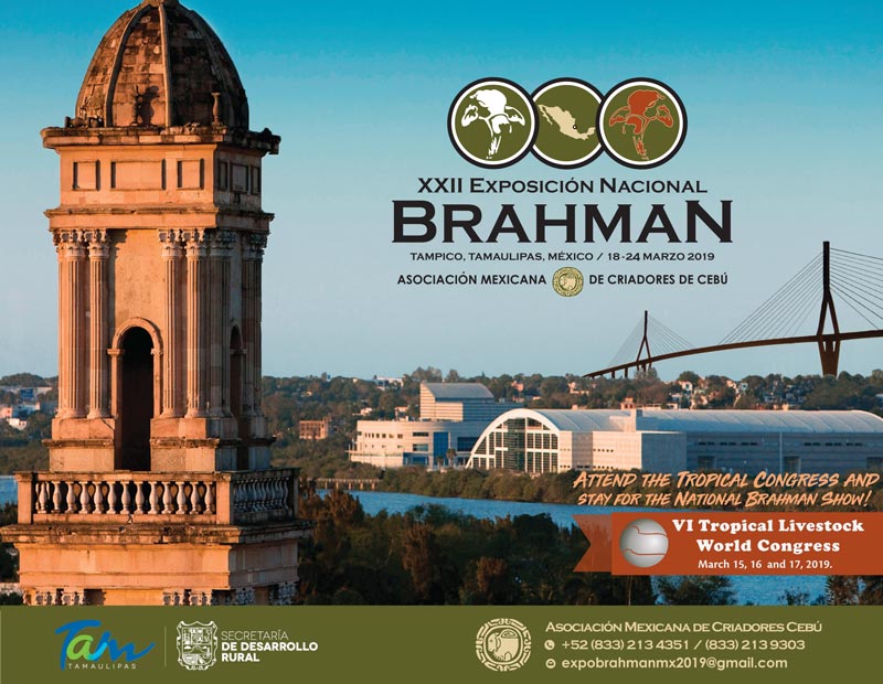 XXII_EXPO_THE_BRAHMAN_JOURNAL_CONGRESO