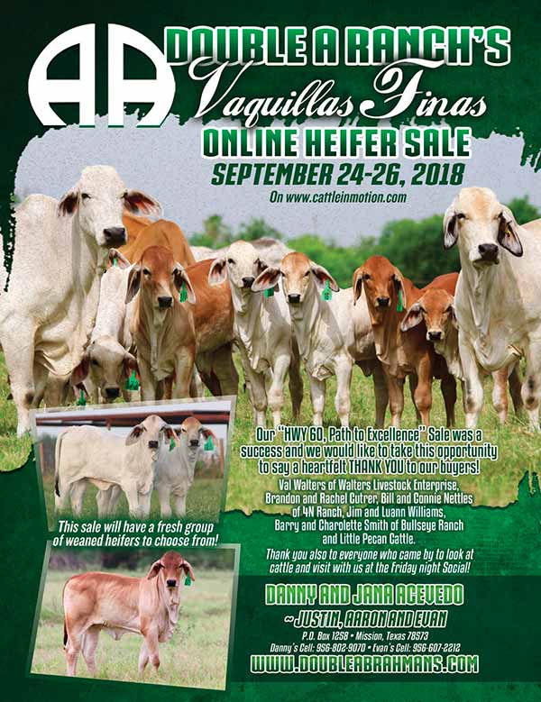 double-a-sale-vaquillas-finas-online-heifer-sale