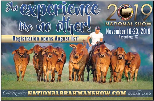 BJE-ABBA-National-Brahman-Show