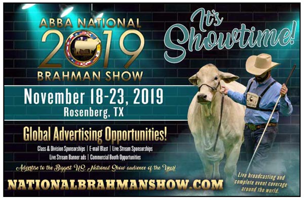 BJE-National-Brahman-Show