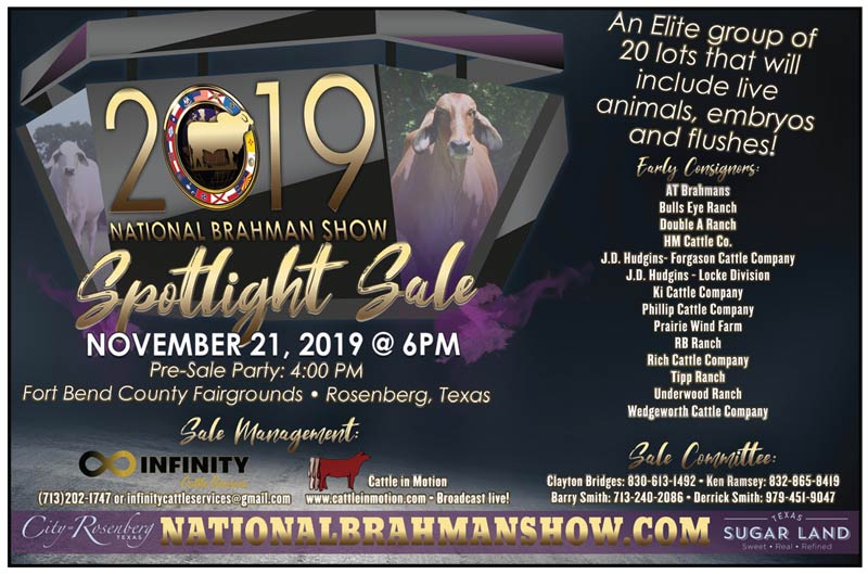 TBE-2019-national-brahman-show