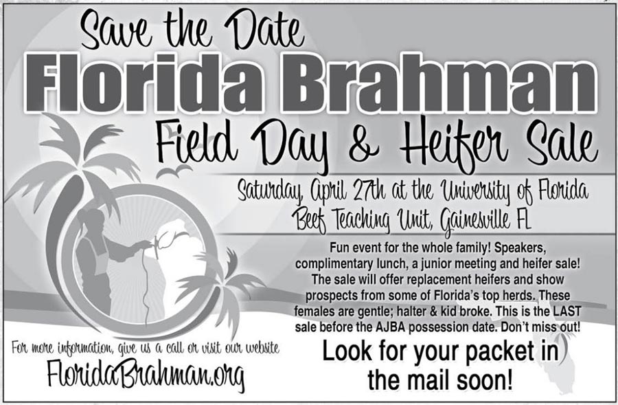 BJE-Florida-Brahman-Field-Day