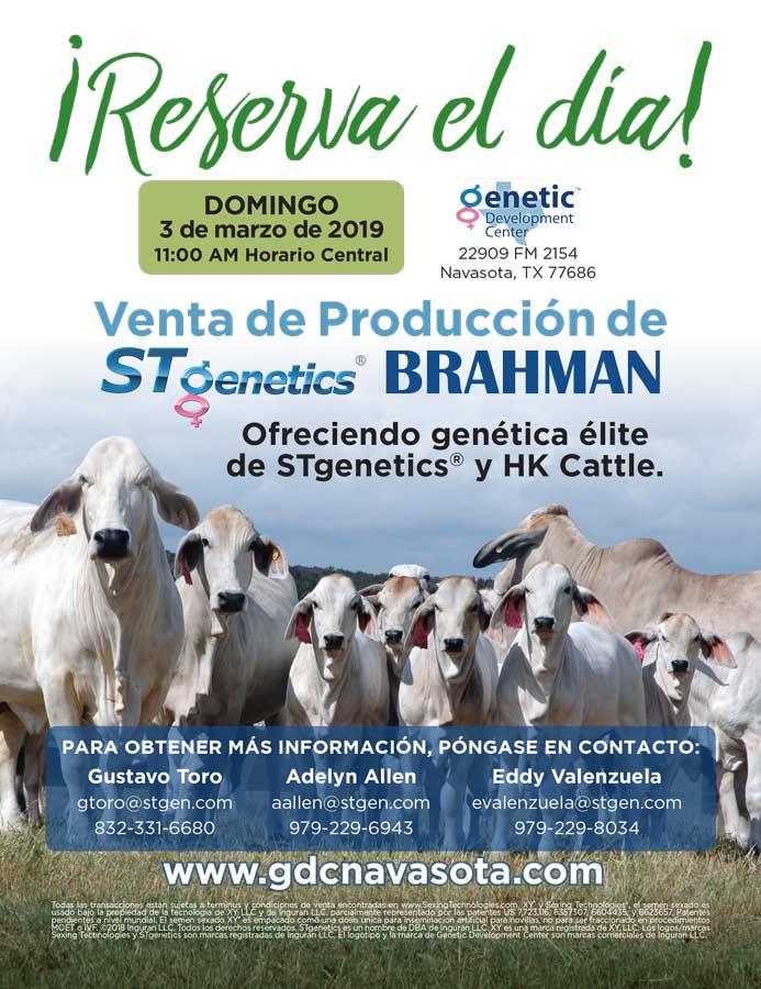 BJE-STgenetics-BrahmanSaleAd-ReservaElDia