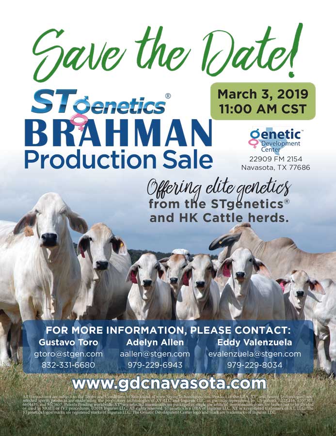 BJE-STgenetics-TheBrahmanJournalAd-SaveTheDateSaleAd