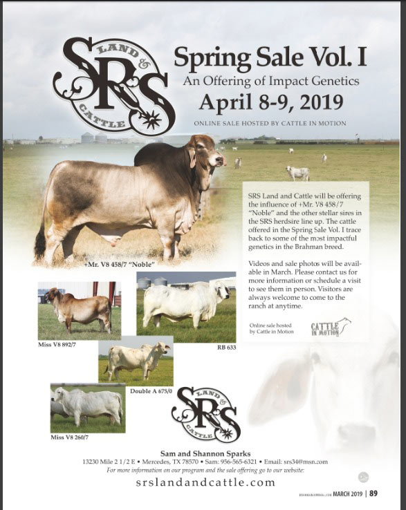 BJE-SRS-Spring-Sale