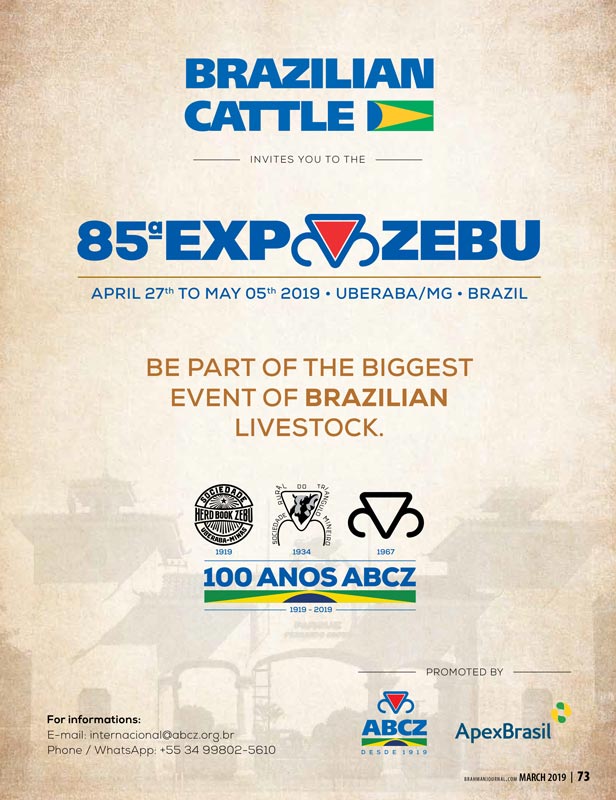 BJE-Expo-Zebu