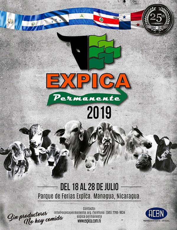 2019-Expica-Permanente1