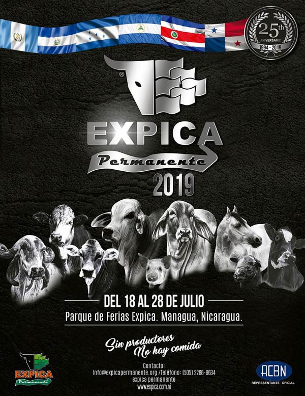 2019-Expica-Permanente2