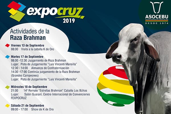 2019-expocruz-programa