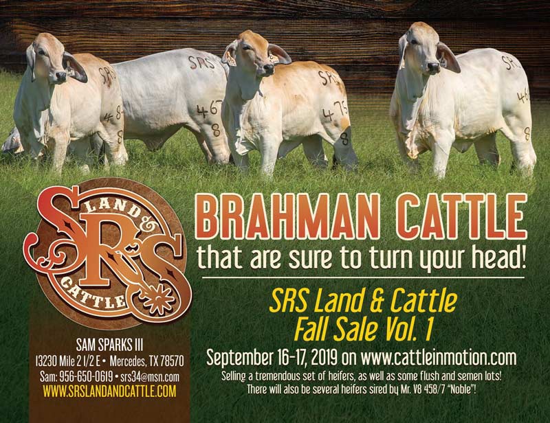 TBE-SRS-land-&-Cattle-Fall-Sale