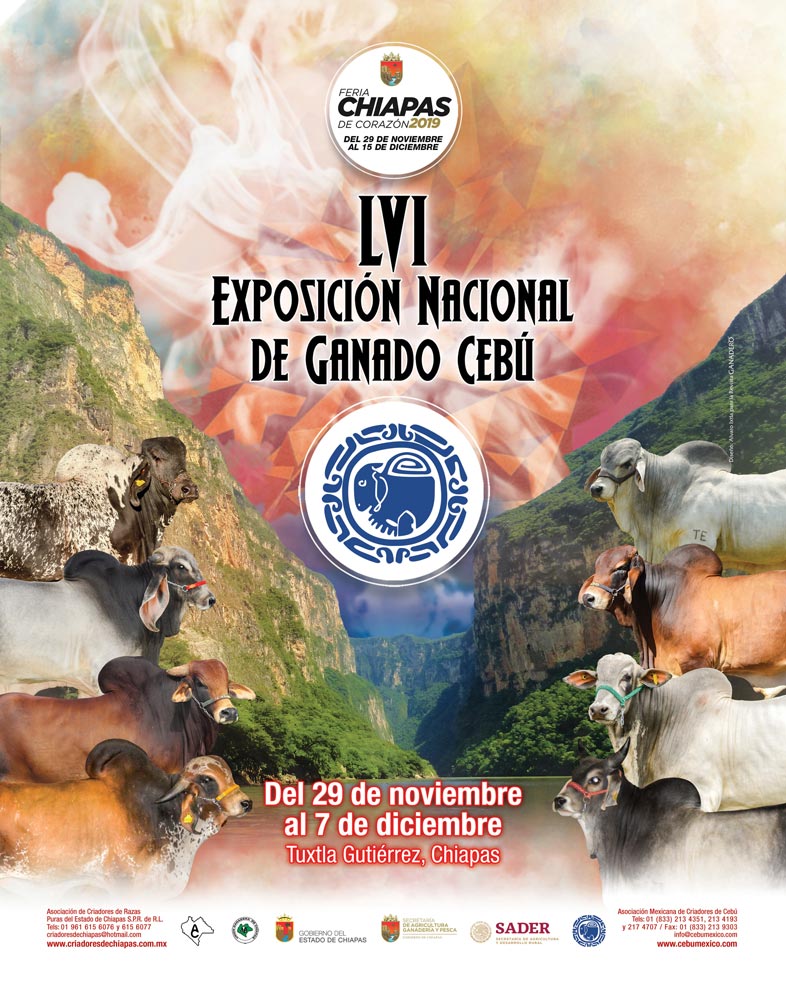 BJE-Expo-Nacional-Cebu-Tuxtla