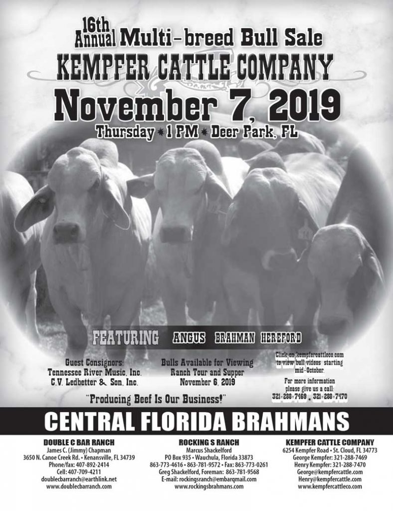 TBE-Annual-Multi-breed-Bull-Sale