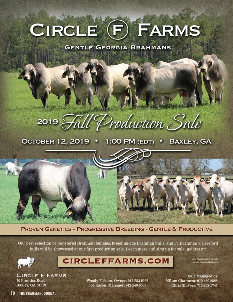 TBE-circle-f-farms-fall-production-sale