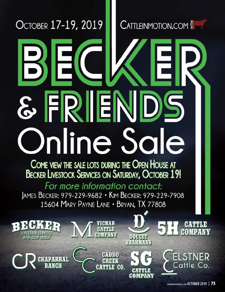 BJE-Becker-and-friends-sale