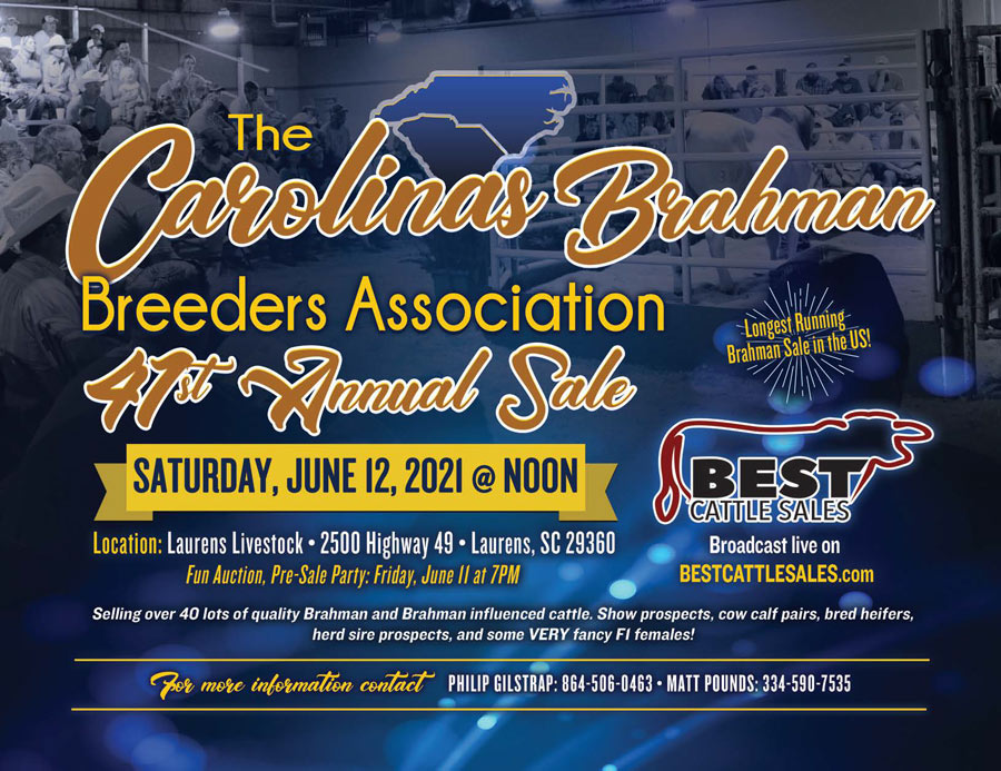 BJE carolina brahman breeders association sale