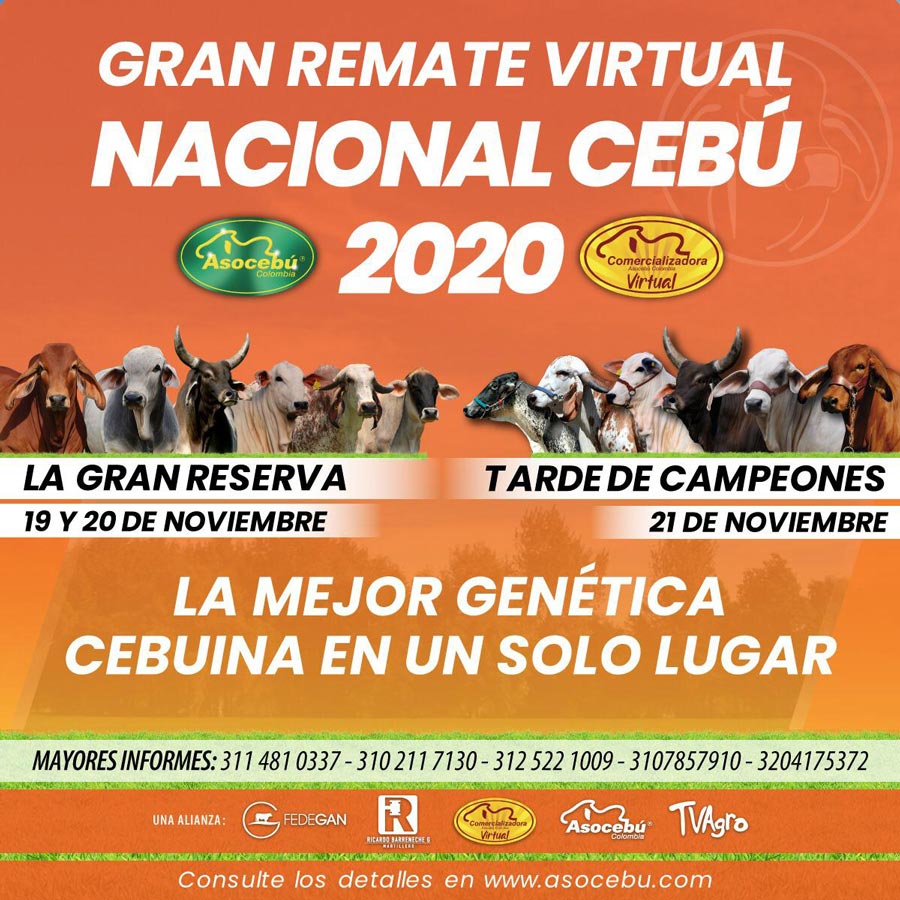 Gran remate colombia