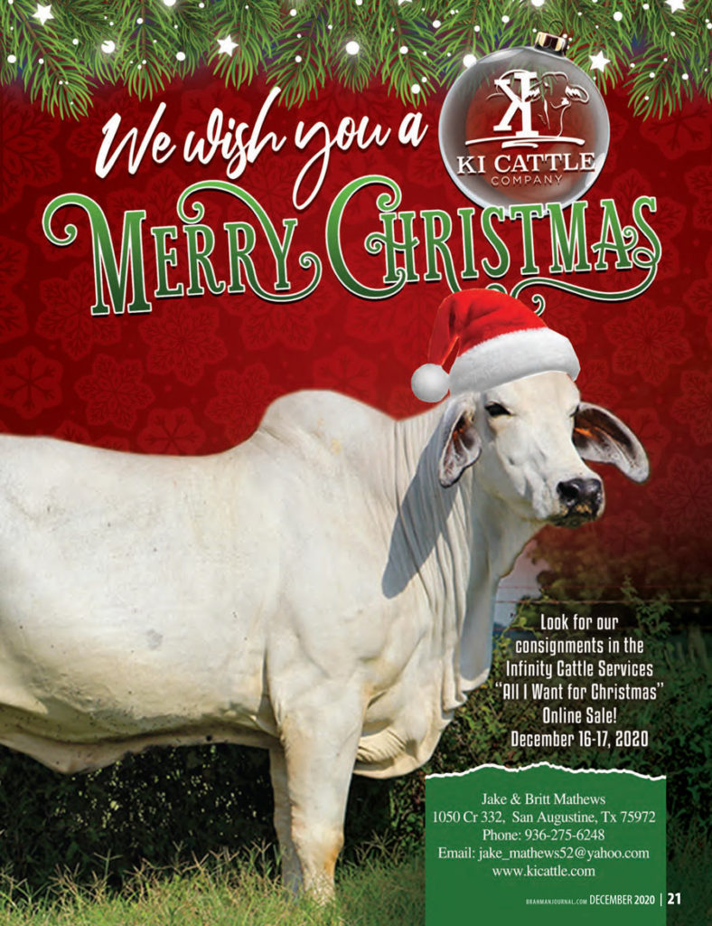 BJE infinity cattle services all i want for christmas online sale