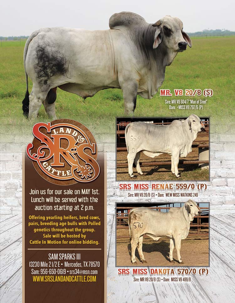 SRS Herd Reduction Sale