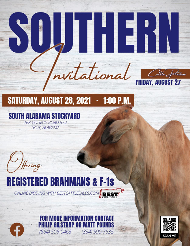 Southern Invitational Sale