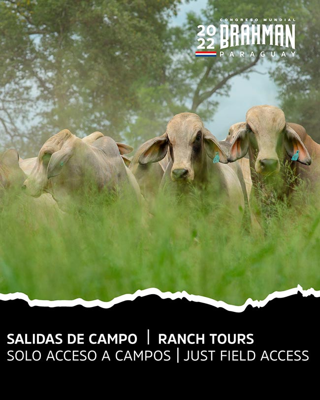 2022 World Brahman Congress Ranch Tours