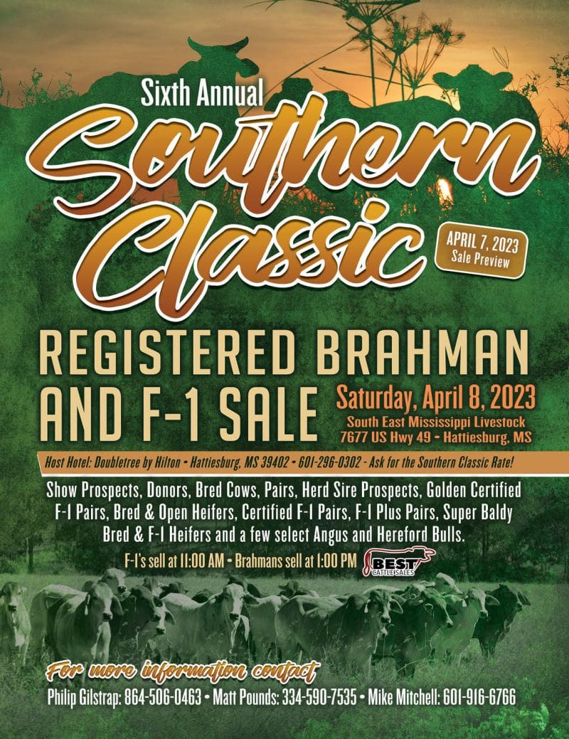 6th Annual Southern Classic Registered Brahman and F1 Sale Brahman Event